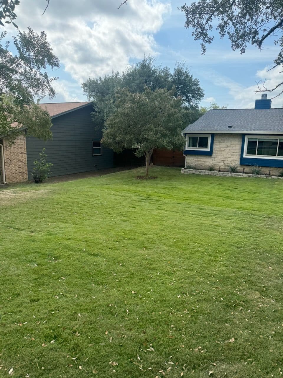Backyard Beauty with Zoysia Grass in Austin Texas